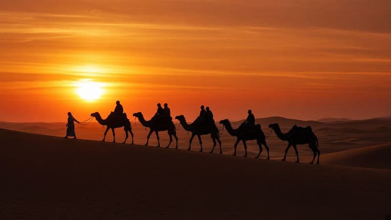 Evening Desert Safari near Dubai