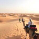 How to Book an Eco-Friendly Desert Safari in Dubai